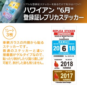 ハワイアン レジスト & パッセンジャー 登録証 レプリカ ステッカー 6月 アクアブルー ホワイト ブラウン HPR-006(商品コード:720036)