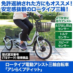 電動 自転車 荷物の通販｜au PAY マーケット