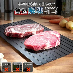 調理器具 まな板 急速解凍 プレート 解凍 キッチン 放熱 魚 刺身 肉 冷凍食品 エコ 時短 家事 主婦 SNS話題 解凍板 省エネ 電気不要 母の