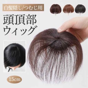 頭頂部ウィッグ レディース ショート 自然 ヘアピース 薄毛 白髪隠し かつら カツラ ストレート 黒髪 普段使い 女性用 15c