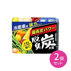 2個セット 脱臭炭 冷蔵庫 大型 炭の力 強力脱臭 備長炭 活性炭 キムチ臭 ニンニク臭 生もの臭 ゼリー状 消臭 脱臭 抗菌 ミネラル脱臭 ミ