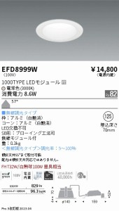 遠藤 遠藤 EFD8999W