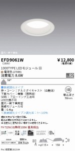 遠藤 遠藤 EFD9061W