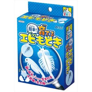 アーテック 簡単 育てるエビもどき 夏休み 自由研究 飼育キット