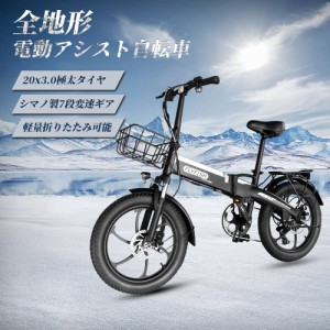 電動 自転車 子供 乗せ 中古の通販｜au PAY マーケット