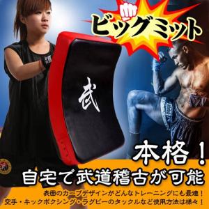 ボディメーカー BODYMAKER ボクシング キックミット ローキック