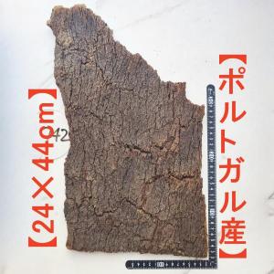 バージン コルクの通販｜au PAY マーケット