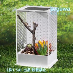 爬虫類 ケージ セットの通販｜au PAY マーケット