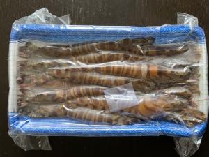 お歳暮 活き〆冷凍車海老400g（10〜15尾前後）車海老 お中元 お歳暮 プリプリ チャーミング 秋穂 ギフト 旭水産