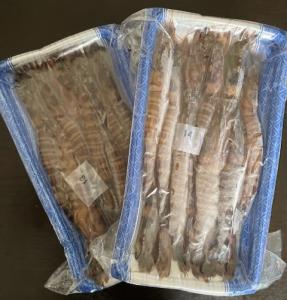 お歳暮 活き〆冷凍車海老800g（10〜15尾前後×2セット）車海老 お中元 お歳暮 プリプリ チャーミング 秋穂 ギフト 旭水産