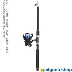 釣り竿 ルアーロッド 2.7m 3m 3.6m 炭素 伸縮 釣り竿 ロッド 竿 リールセット スピニングリール 釣り入門 釣り具セット 釣竿 ロッド