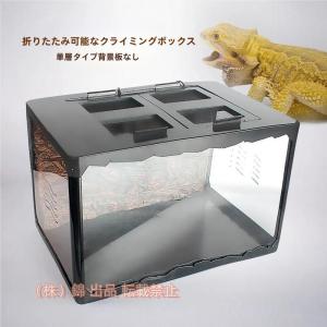 爬虫類 ケージ セットの通販｜au PAY マーケット