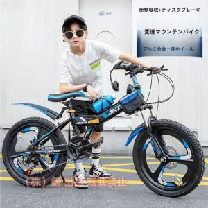 フィッツプラスジュニア 22インチ FTP-J22 / ダイワサイクル ガールズ