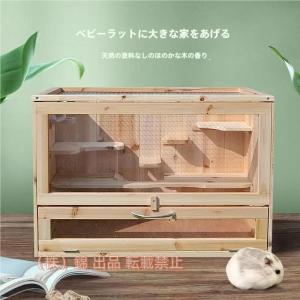 チンチラ 初心者 セットの通販｜au PAY マーケット