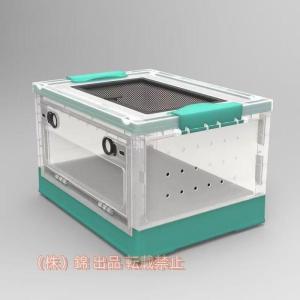 サソリ 飼育 セットの通販｜au PAY マーケット
