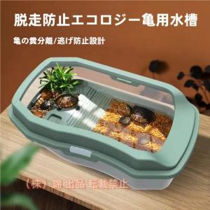 ヤドカリ 飼育 水槽の通販｜au PAY マーケット