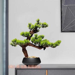 300円OFFクーポン 造花 人工観葉植物 屋外のどの木 屋内植物用プランター ミニ偽の植物 フェイクグリーン デスクトップ装飾品 プラスチック製の木の 装飾 シミュレーション盆栽松 模造盆栽飾り 小さなフェイク植物 ポット付き 家 オフィス 卓上装飾 shopcp 模擬草 家の ... 装飾用の造花 造花鉢植え装飾 人工造花植物 デスクトップ装飾 家の装飾用 人工グリーン植物 造花植物