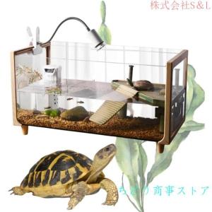 【リクガメ】【トカゲ】爬虫類飼育ケージセット Amazon | エキゾテラ GEX EXOTERRA フトアゴヒゲトカゲ&リクガメ