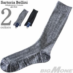 大きいサイズ メンズ SARTORIA BELLINI 抗菌防臭 ビジネス ソックス 靴下 sbs-5171