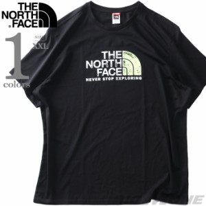 大きいサイズ メンズ THE NORTH FACE ノースフェイス プリント 半袖 Tシャツ RUST TEE USA直輸入 nf0a4m68-h21