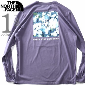 大きいサイズ メンズ THE NORTH FACE ノースフェイス プリント 長袖 Tシャツ BOX NSE TEE USA直輸入 nf0a811n-ian