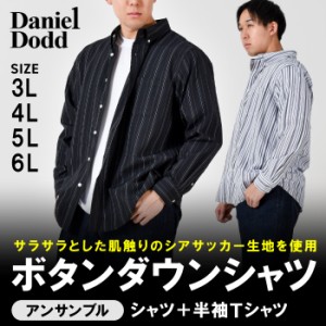 大きいサイズ メンズ DANIEL DODD サッカーストライプ 長袖 ボタンダウン シャツ + 半袖 Tシャツ アンサンブル 春夏新作 715-sh240110