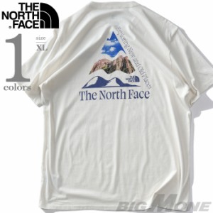 大きいサイズ メンズ THE NORTH FACE ノースフェイス プリント 半袖 Tシャツ PLACES WE LOVE TEE USA直輸入 nf0a811s-nzi