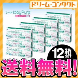 ▲【メーカー欠品で最大20日前後納期】全品ポイント10％UP！13日限定◇《送料無料》ワンデーピュアうるおいプラス乱視用 32枚入 12箱 1da