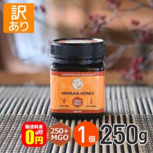 ★ ◆訳あり◆◇《送料無料》アクティブ マヌカハニー MGO250+ 250g 2個 賞味期限【2025年3月31日】