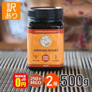 ★ ◆訳あり◆全品ポイント5％UP！3日23:59迄◇《送料無料》アクティブ マヌカハニー MGO250+ 500g 2個 賞味期限【2025年3月31日】