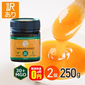 ★ ◆訳あり◆全品ポイント5％UP！3日23:59迄◇《送料無料》アクティブ マヌカハニー MGO30+ 250g 2個 賞味期限【2025年3月31日】