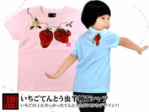 碧/キッズ・ベビー◆【90】いちごてんとう虫半袖Tシャツ/和柄[sl]