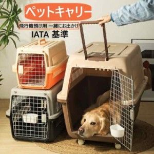 ハードキャリー ハードクレート クレート 犬 猫 おすすめ IATA基準 移動 おしゃれ しつけ キャリー ハードキャリー キャリーケース コン