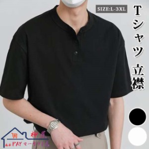 Tシャツ 立襟 半袖 夏 メンズ トップス カットソー カジュアル ビジネス 仕事 無地 薄手 半袖 Tシャツ インナー お兄系 夏服 夏物