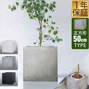 植木鉢 50cmの通販｜au PAY マーケット