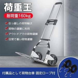 台車 折りたたみ 軽量 コンパクト静音 耐荷重300KG 【2024業界新