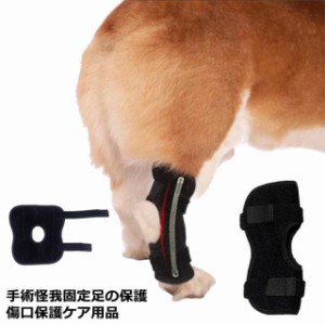 犬用 サポーターの通販｜au PAY マーケット