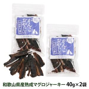 犬 猫 おやつ 無添加 国産 がんこおやじのおやつ亭 和歌山産熟成マグロジャーキー 40g×2袋セット 追跡可能メール便のみ送料無料（同梱不