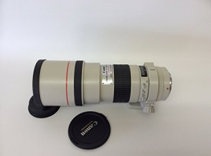 Canon キャノン EF 300mm F4L USM 高級単焦点レンズ カメラ(中古品)