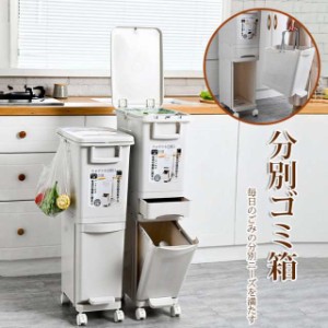 ゴミ箱 分別 2段 資源ゴミ 29L 別ワゴン 分別ごみ箱 スリム キッチン 分別 隙間 省スペース春新作