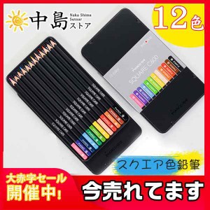 色鉛筆 鉛筆 油性色鉛筆 12色セット 箱入り カラーペン お絵かき 色えんぴつ いろえんぴつ 大人の塗り絵 文具 筆 文房具