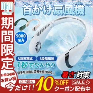 首掛け扇風機 扇風機 折り畳み式 ネッククーラー  ミニ扇風機 空気浄化 軽量 静音 急速冷却 接触冷感 羽なし 軽量 冷感 エアーファン 熱