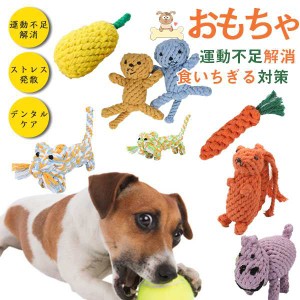 ポイント超超祭クーポン利用可 割引中 おもちゃ 犬 噛む 2点セット おもちゃ 安全 犬用おもちゃボール 壊れない 頑丈 最強 噛む 訓練玩具