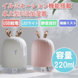 ミニ加湿器 卓上 オフィス usb スチーム式 静音 可愛い LEDライト 保湿 美容効果 肌荒れ対策