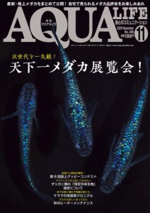 アクアライフ (11月号)