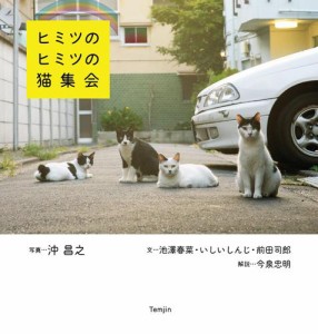 ヒミツのヒミツの猫集会