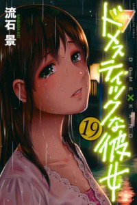 ドメスティックな彼女（１９）