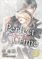 Perfect Crime　3