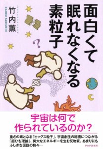 面白くて眠れなくなる素粒子