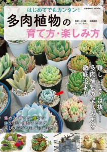 はじめてでもカンタン！ 多肉植物の育て方・楽しみ方